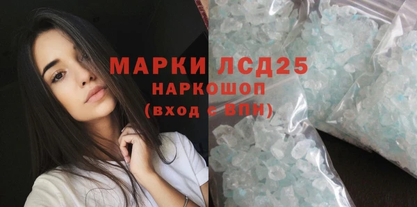 PSILOCYBIN Алзамай