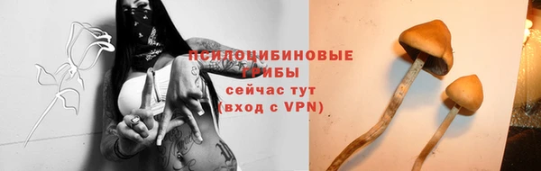 ешки Алексеевка
