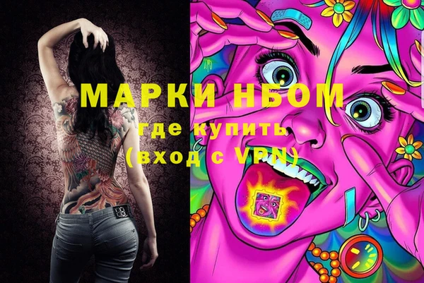 ГАЛЛЮЦИНОГЕННЫЕ ГРИБЫ Снежногорск