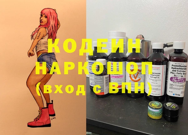 PSILOCYBIN Алзамай