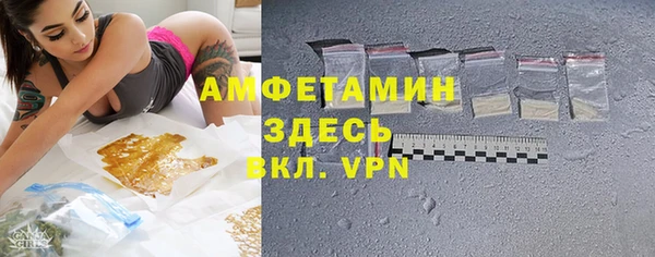 PSILOCYBIN Алзамай
