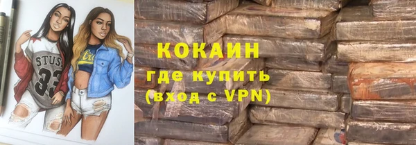 ГАЛЛЮЦИНОГЕННЫЕ ГРИБЫ Снежногорск