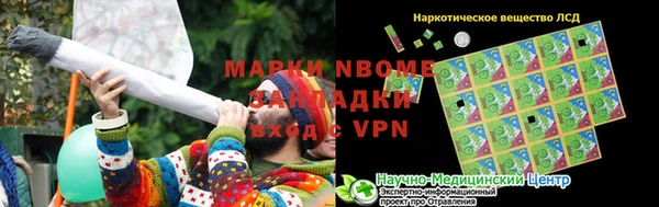 PSILOCYBIN Алзамай